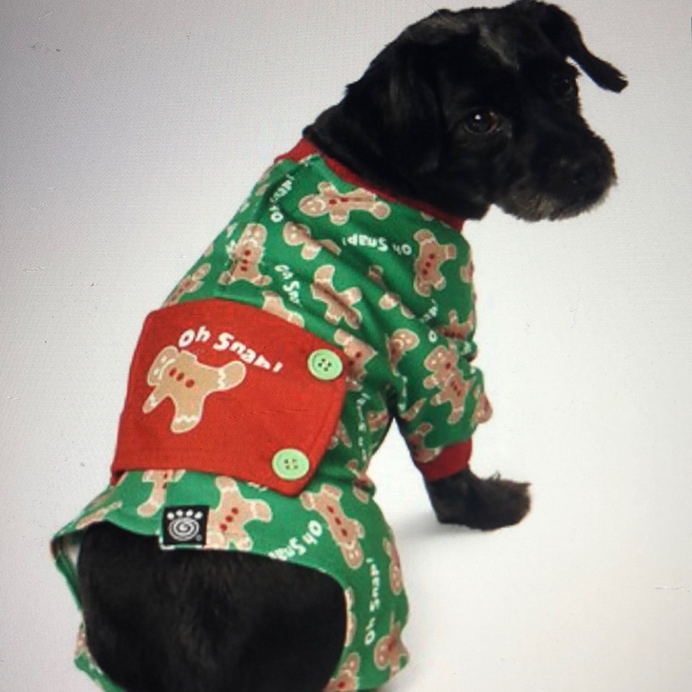 Christmas onesie for a puppy.